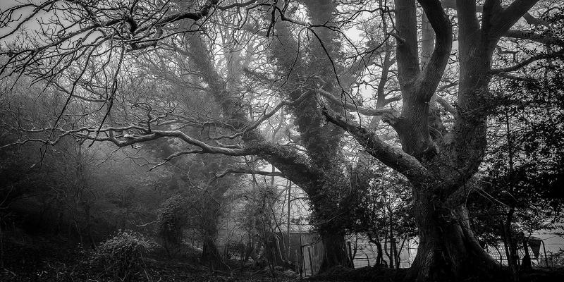 从零开始征服3000米：高海拔徒步适应性训练全攻略 | 户外旅行与露营指南