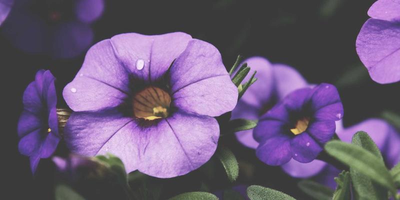 波西米亚风与登山美学:当自由灵魂遇见巍峨山野