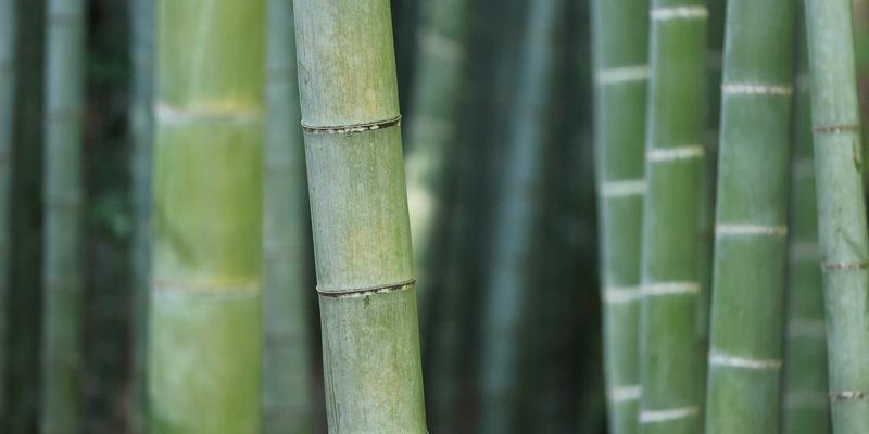 逍遥驴必备：高海拔徒步登山攻略，科学预防与应对高原反应