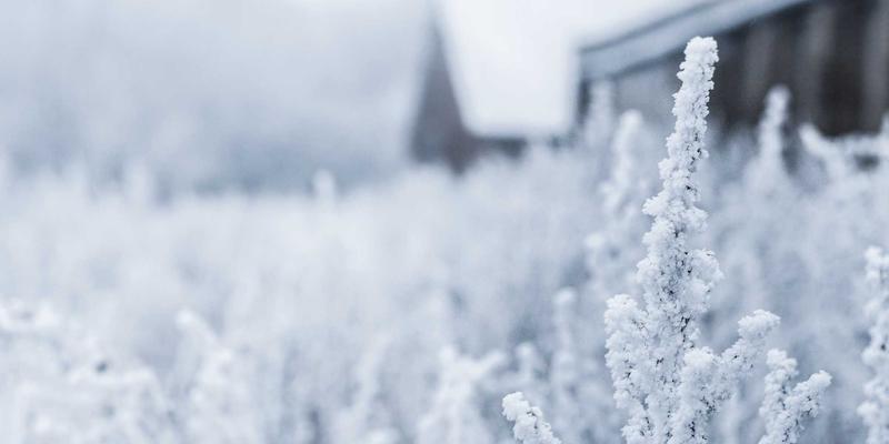 逍遥驴溯溪与溪降运动入门指南：驴友社区必备攻略