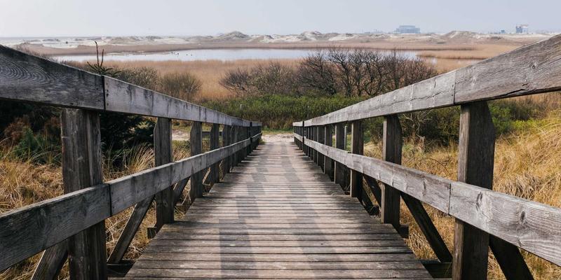 露营登山必备攻略：逍遥驴亲测有效的夏季户外防蚊虫技巧